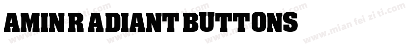 Amin Radiant Buttons字体转换
